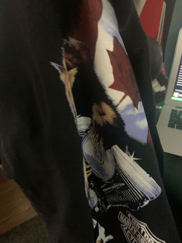 Customer photo review of Vintage Harley Davidson Motor Cycles Canadian Bear T Shirt Size XL