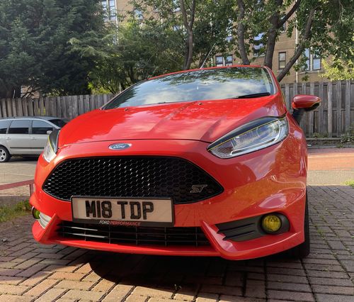 Customer photo review of Fiesta ST180 Fog Light Armour