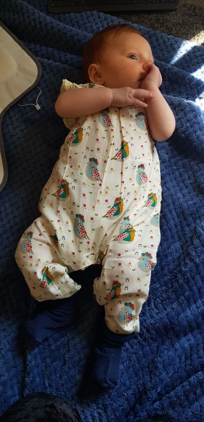 Customer photo review of The Birds Did Sing Organic Summer Romper