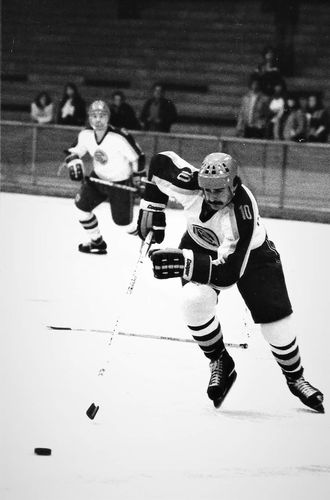 Customer photo review of Inglasco Official Puck