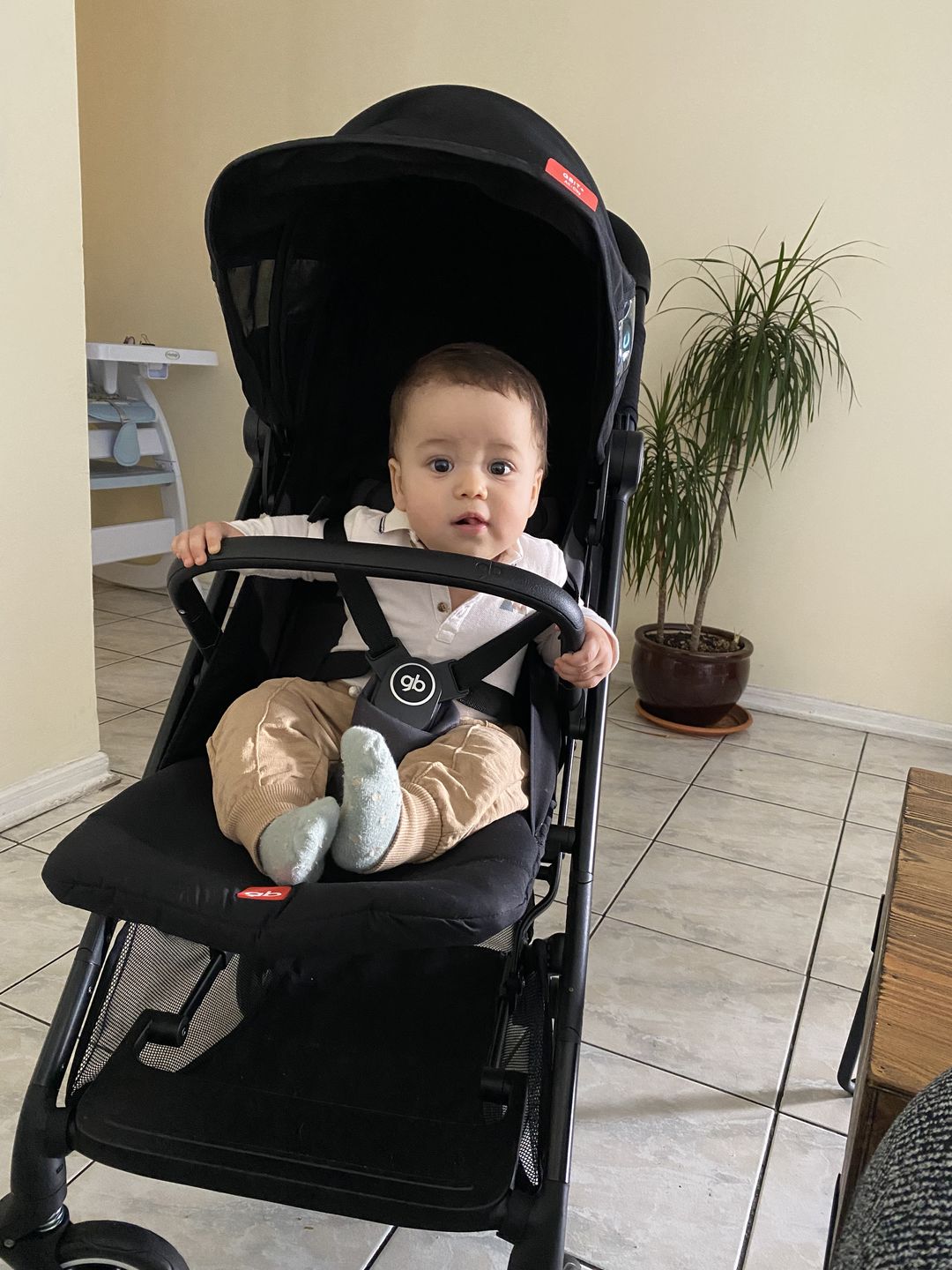 Customer photo review of Coche de Paseo Qbit+ Plus All City GB