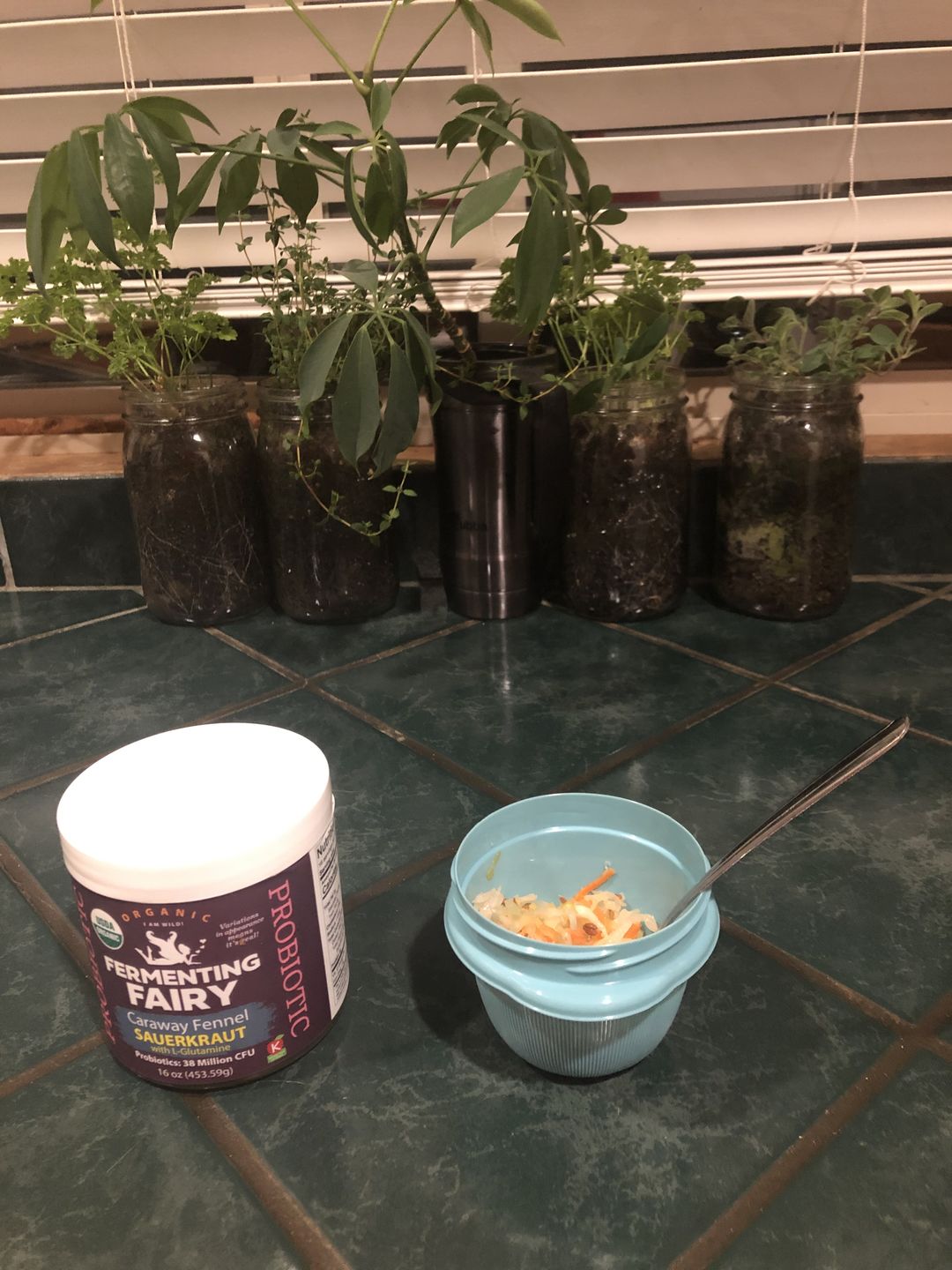 Customer photo review of Caraway Fennel Sauerkraut with L Glutamine
