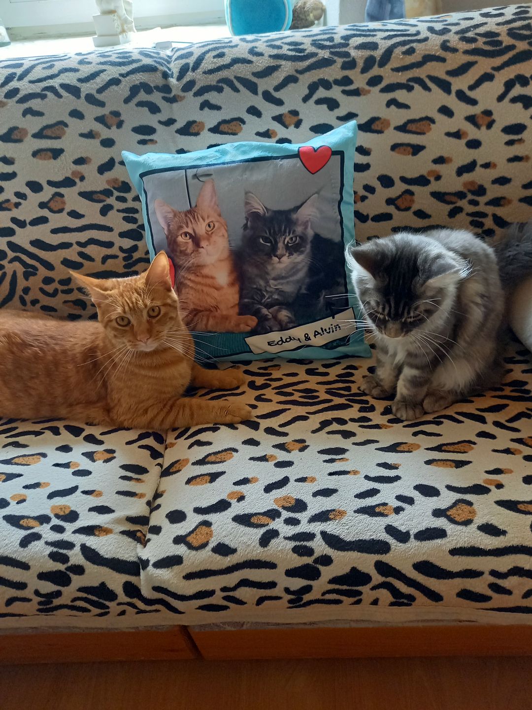Customer photo review of Fotokissen mit Herzchen - Individuelles Kissen
