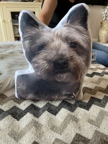 Customer photo review of Create A Custom Dog Pillow