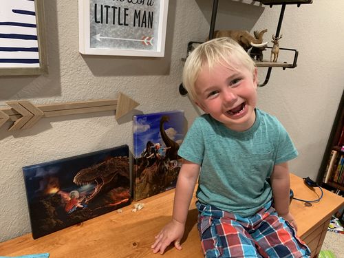 Customer photo review of Dino Chaos