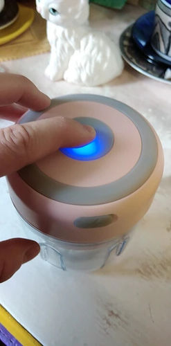 Customer photo review of Intelligent Electric Food Chopper Pro™