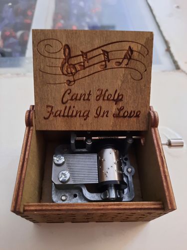 Customer photo review of Can't Help Falling In Love