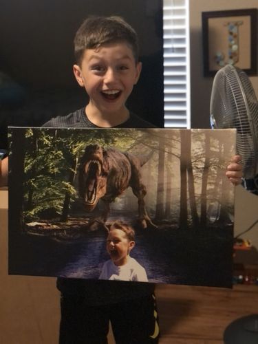 Customer photo review of Dino Forest
