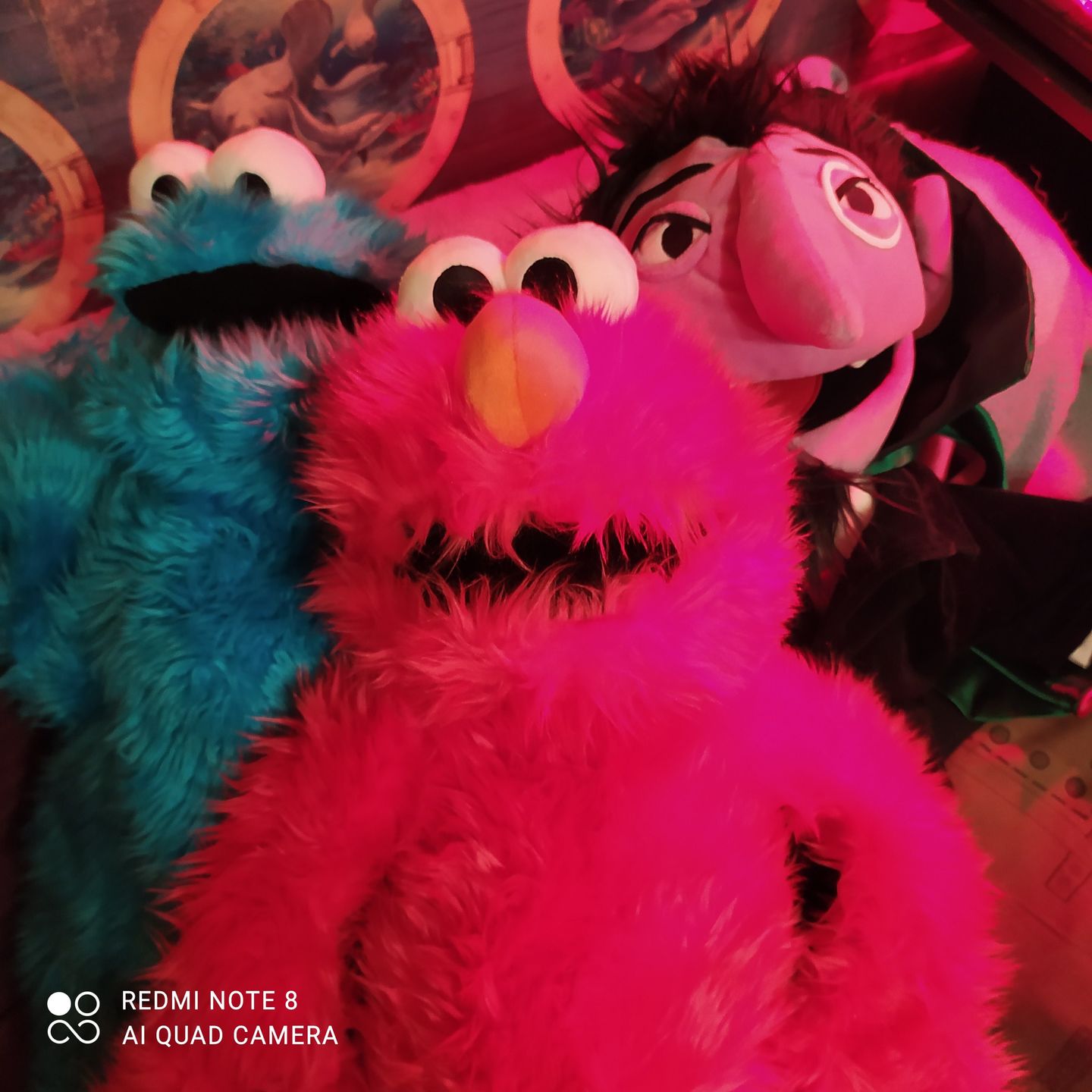 Customer photo review of Elmo Marionnette Sesame Street