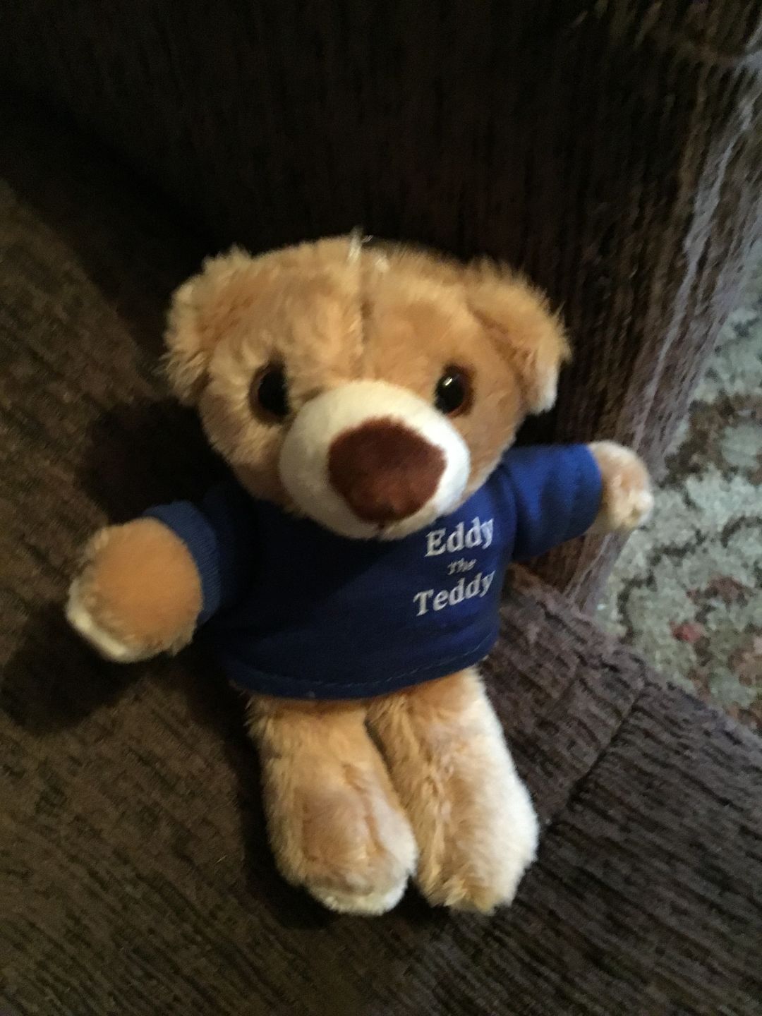 Customer photo review of Eddy The Teddy Keyring