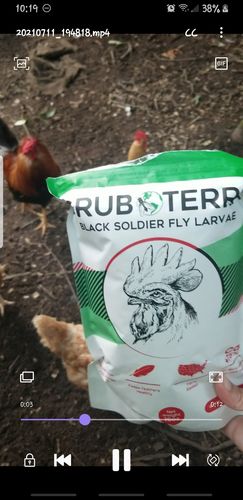 Customer photo review of GrubTerra Dried Larvae