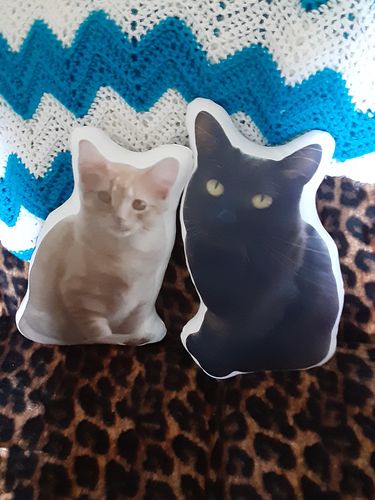 Customer photo review of Create A Custom Cat Pillow