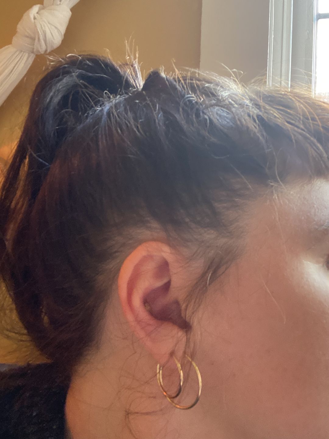Customer photo review of The Perfect Medium Hoops
