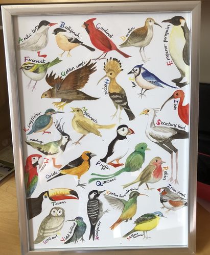 Customer photo review of The A-Z of Birds