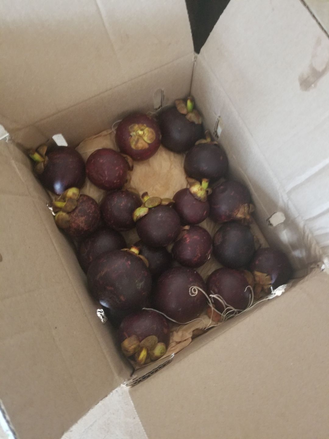 Customer photo review of Mangosteen Box