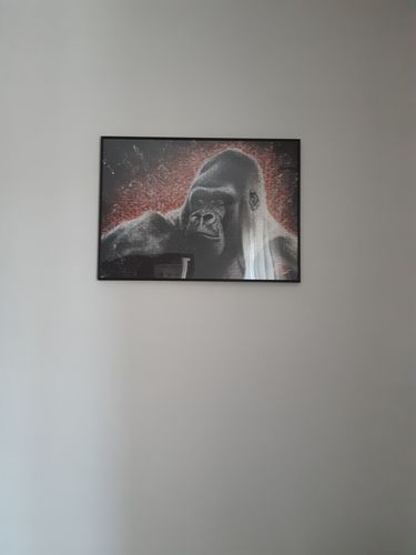 Customer photo review of "Gincko" - limitée à 500 exemplaires