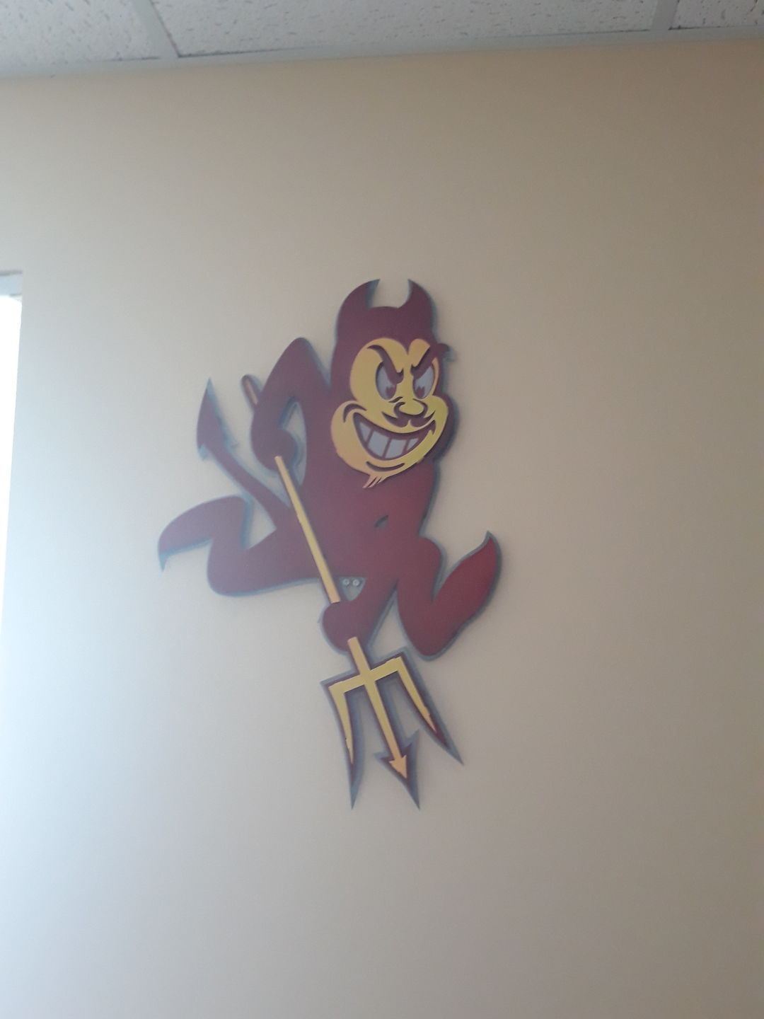 Customer photo review of Arizona State University Sun Devil