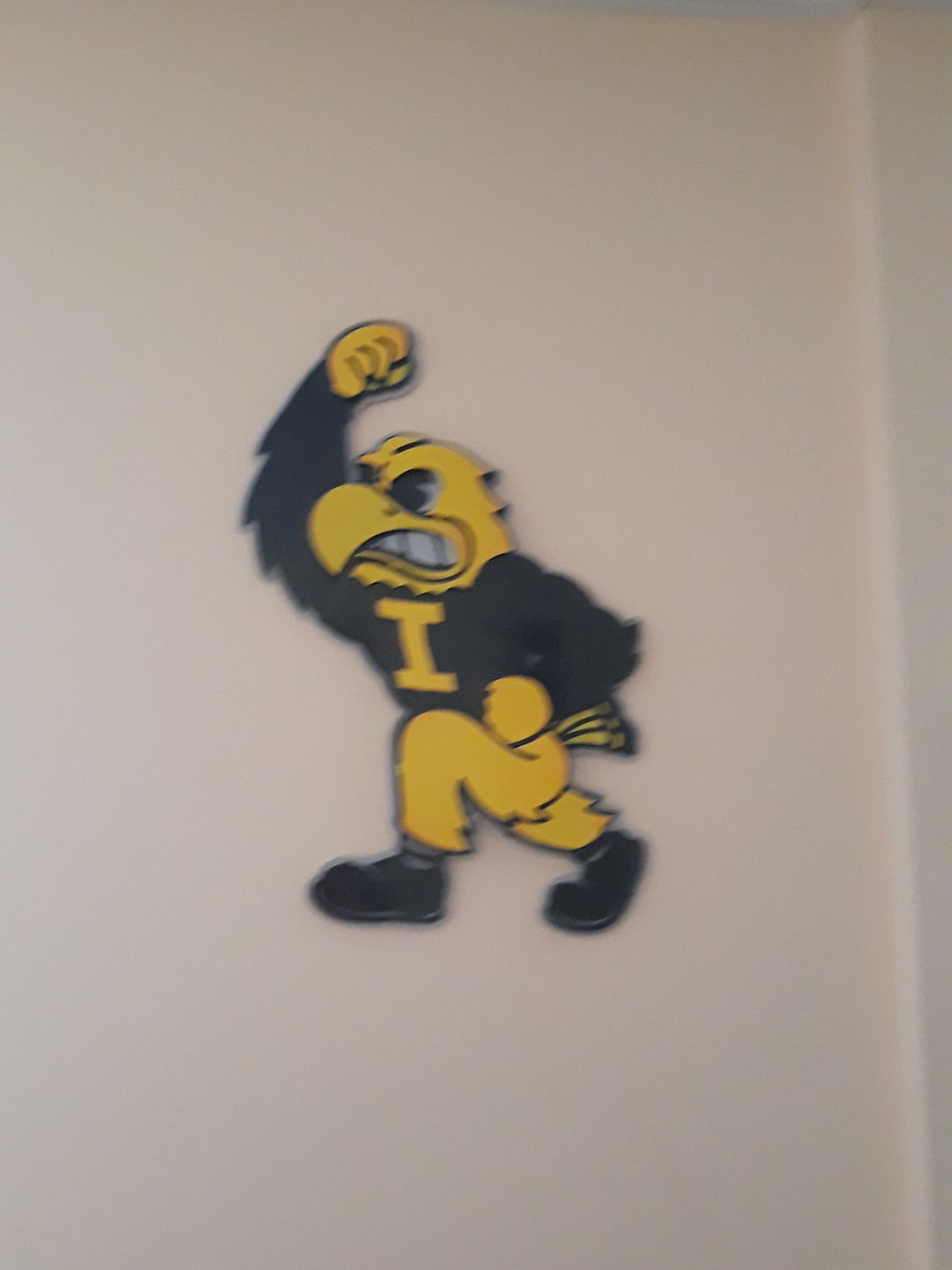 Customer photo review of University of Iowa Mascot HERKY 3D Metal Art 23" x 18"