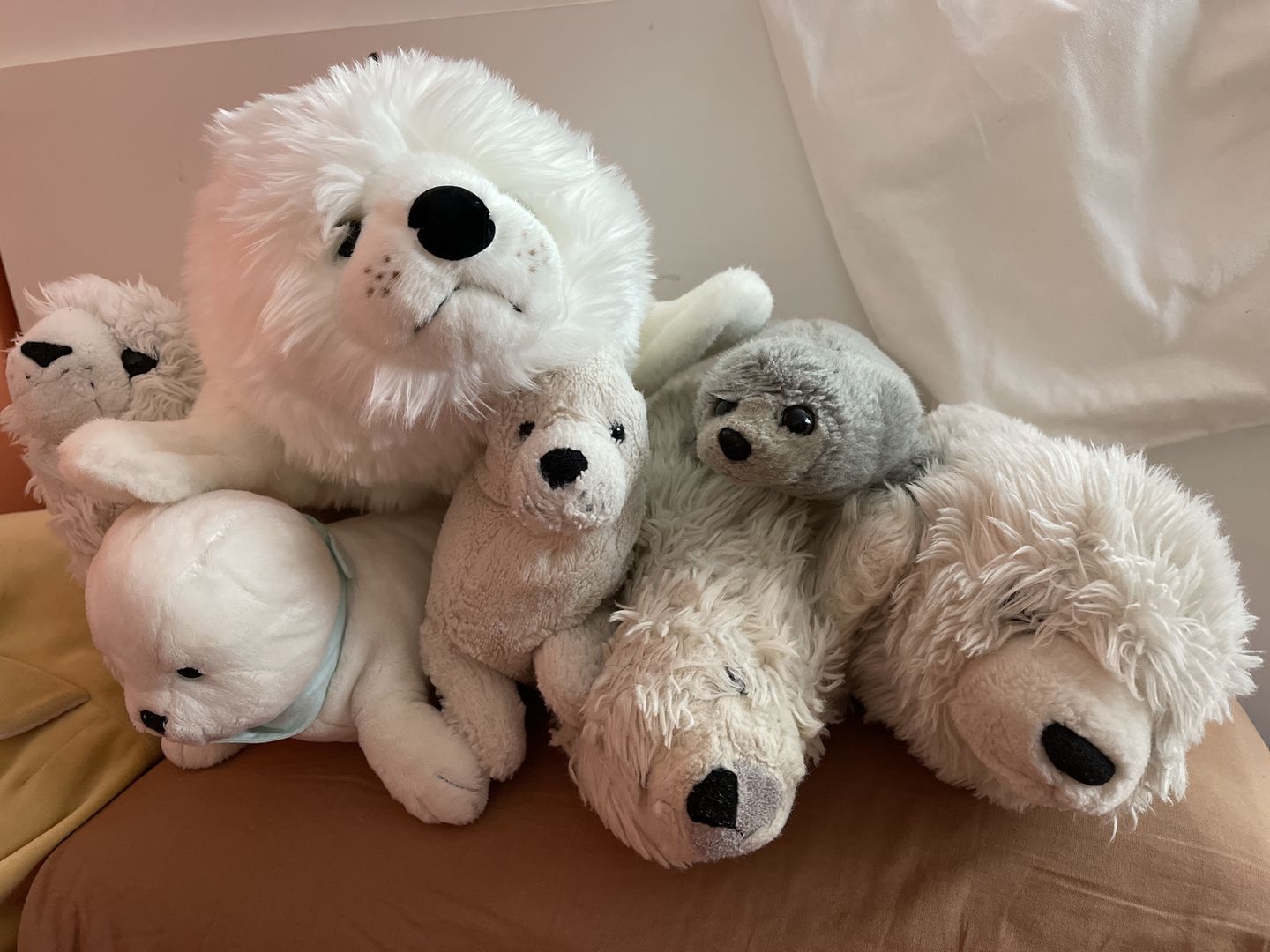 Customer photo review of Ma peluche Phoque Arsène