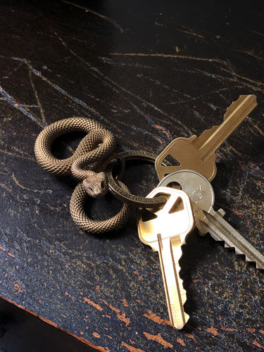 Customer photo review of Brass Snake Keychain