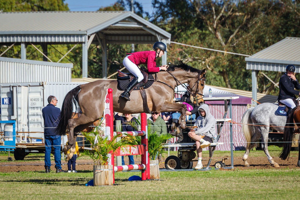 Customer photo review of Kentaur ‘Neo’ Non Slip Saddle Pad