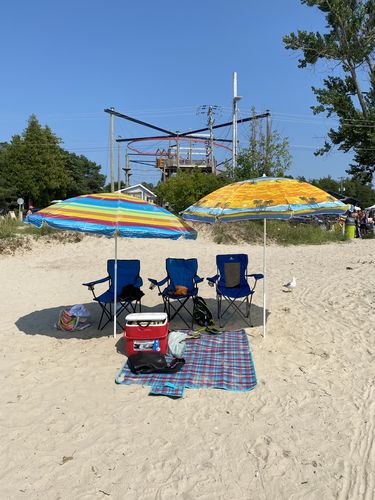 Customer photo review of Daphne Embellished Multi-colored Hand Beaded Tote