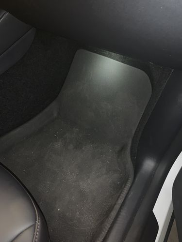 Customer photo review of All-Weather 3D Floor Mats for Tesla Model Y 2020-21