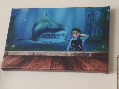 Customer photo review of Aquarium Shark