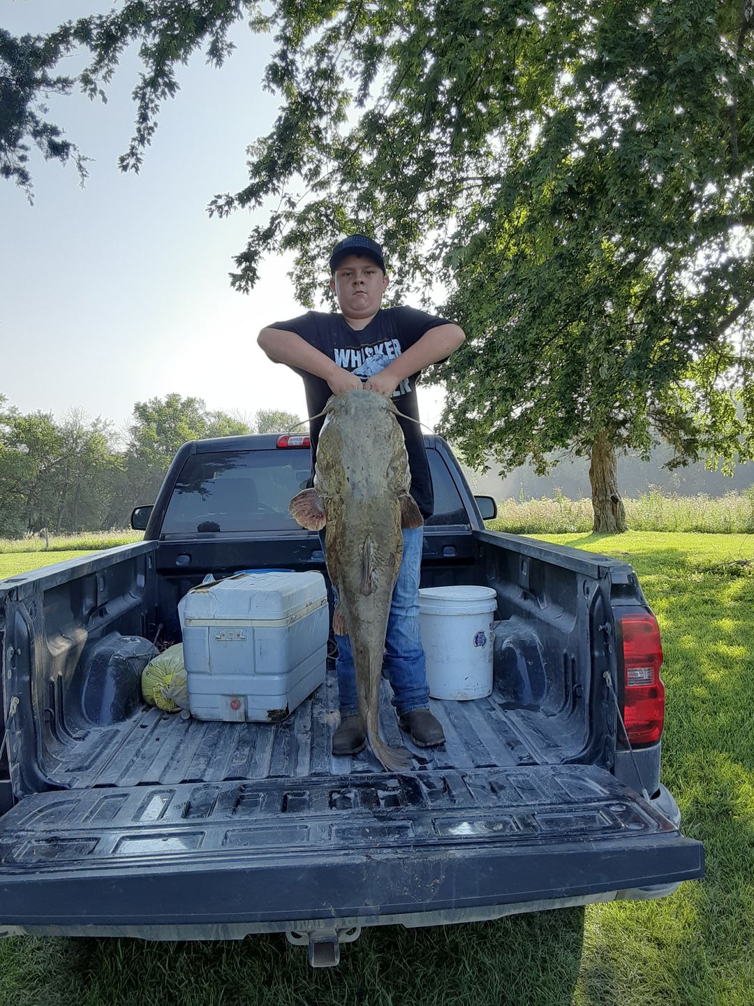 Customer photo review of Whisker Tickler - Black