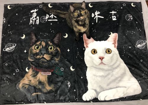 Customer photo review of 【客製】手繪寵物 法蘭絨毛毯