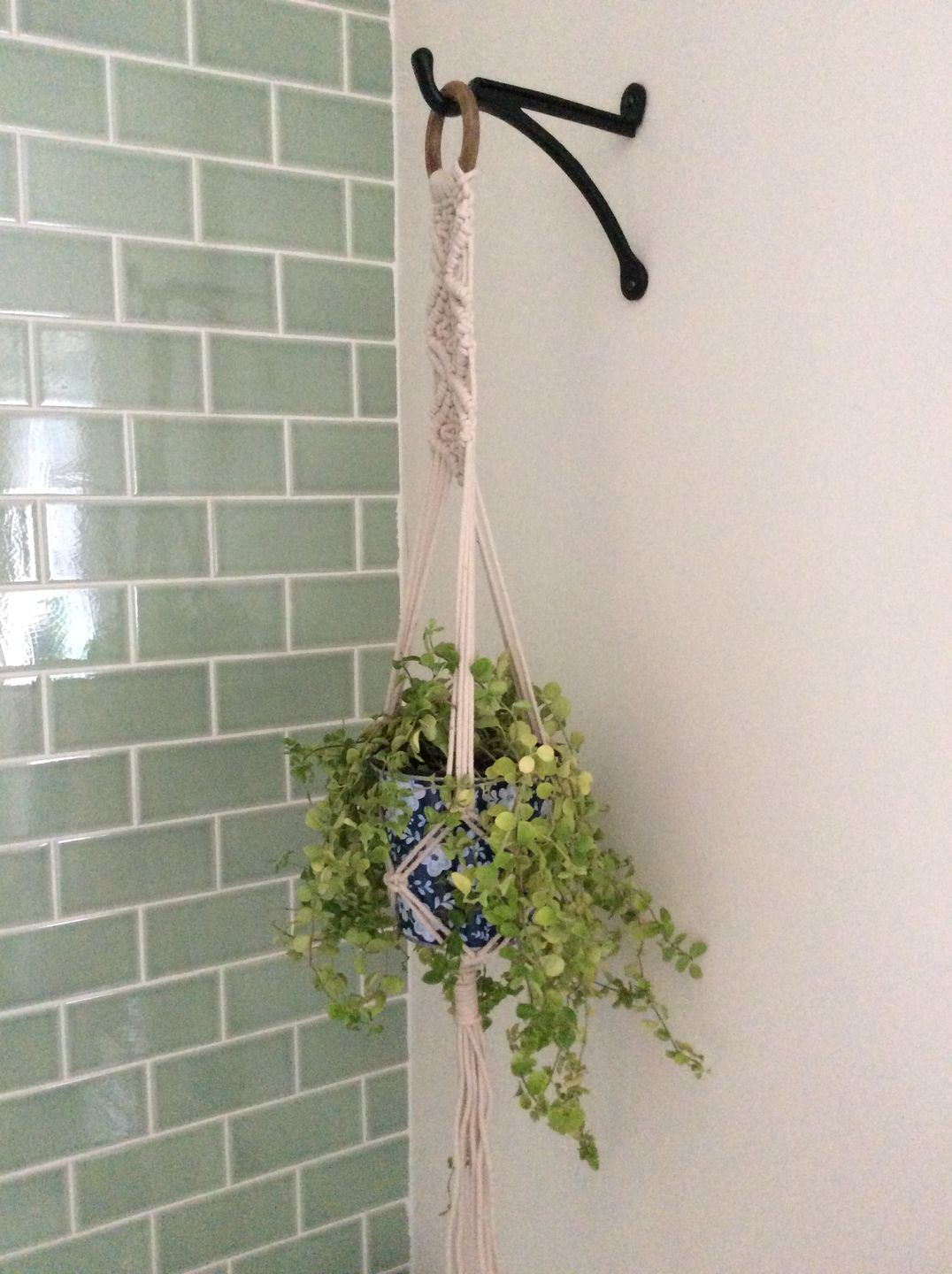 Customer photo review of 7 & 10 Inch Cast Iron Hanging Hook Bracket