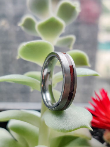 Customer photo review of The Sequoia