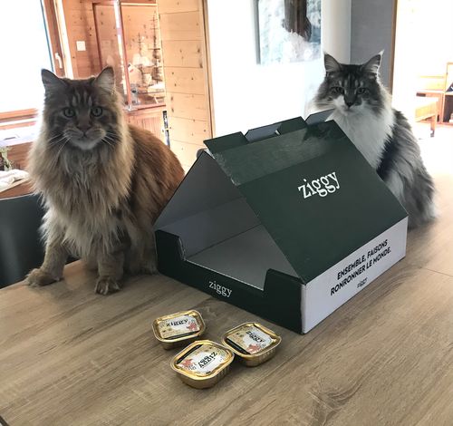Avis photo d'un client sur Pâtée Chat Stérilisé Sans Céréales - Poulet