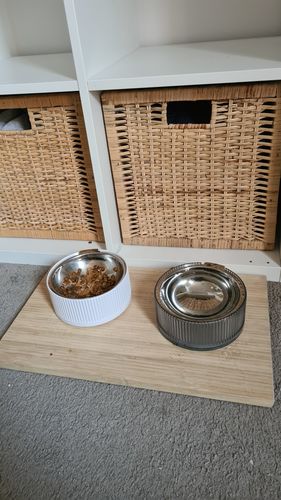 Customer photo review of Furrytail Antibacterial Stainless Steel Cat Bowl
