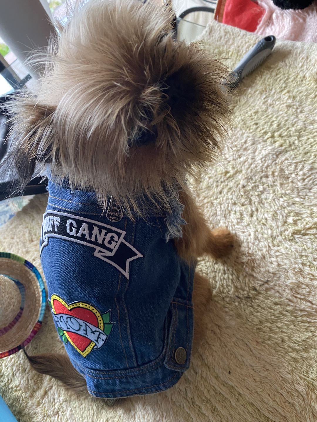 Customer photo review of Denim Dog Vest Raw Blue - Unpatched