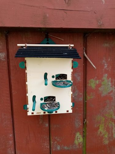 Customer photo review of Månedligt Abonnement