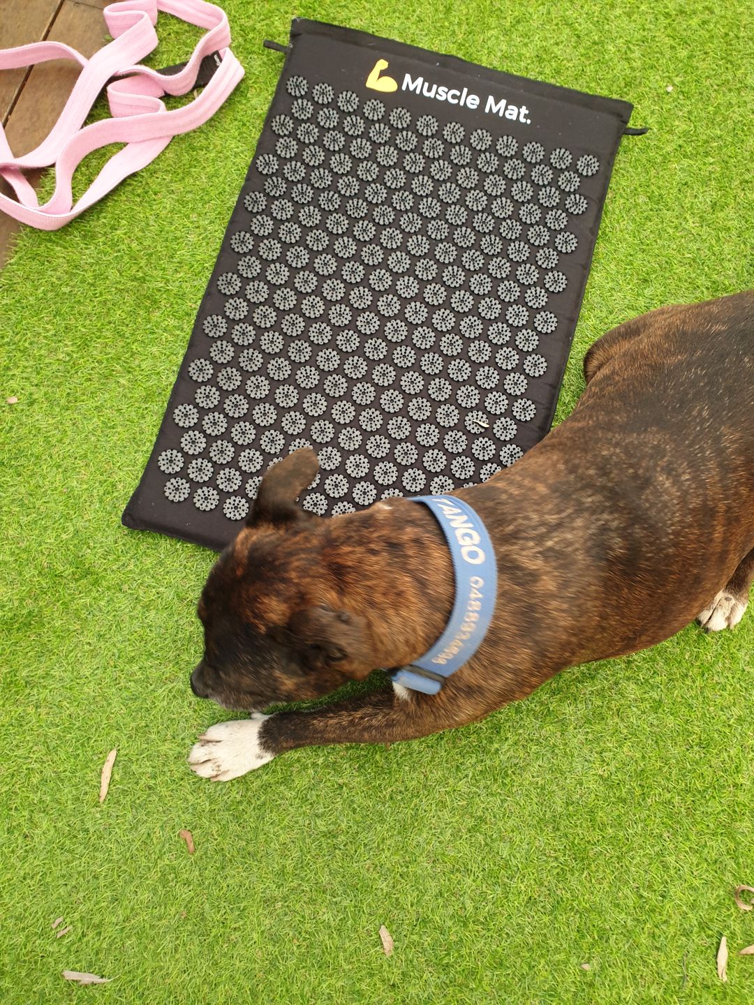 Customer photo review of Muscle Mat Luxury Acupressure Mat With Pillow