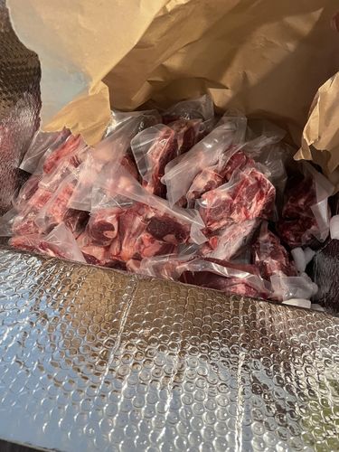 Customer photo review of Qurbani (Udhiyah) Animal