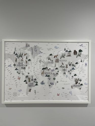 Customer photo review of World Map | Wilderness