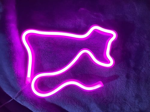 Customer photo review of 'There is a light that never goes out' neon sign