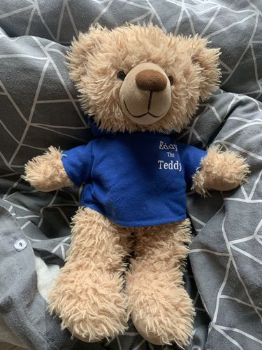Customer photo review of Eddy The Teddy Bear