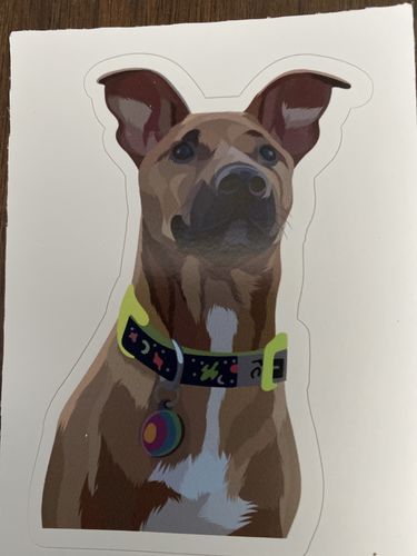 Customer photo review of Custom Pet Stickers