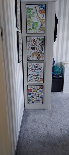 Customer photo review of Dinosaur Park