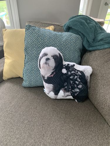 Customer photo review of Create A Custom Dog Pillow