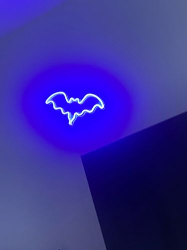 Customer photo review of 'There is a light that never goes out' neon sign