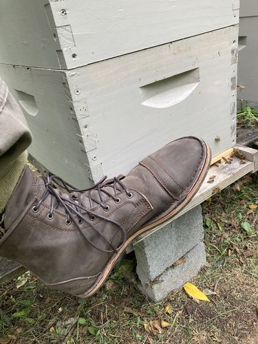 Customer photo review of Mohawk Natural Brown (WIDE)