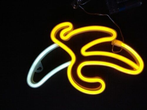 Customer photo review of Female Back Silhouette Neon Sign
