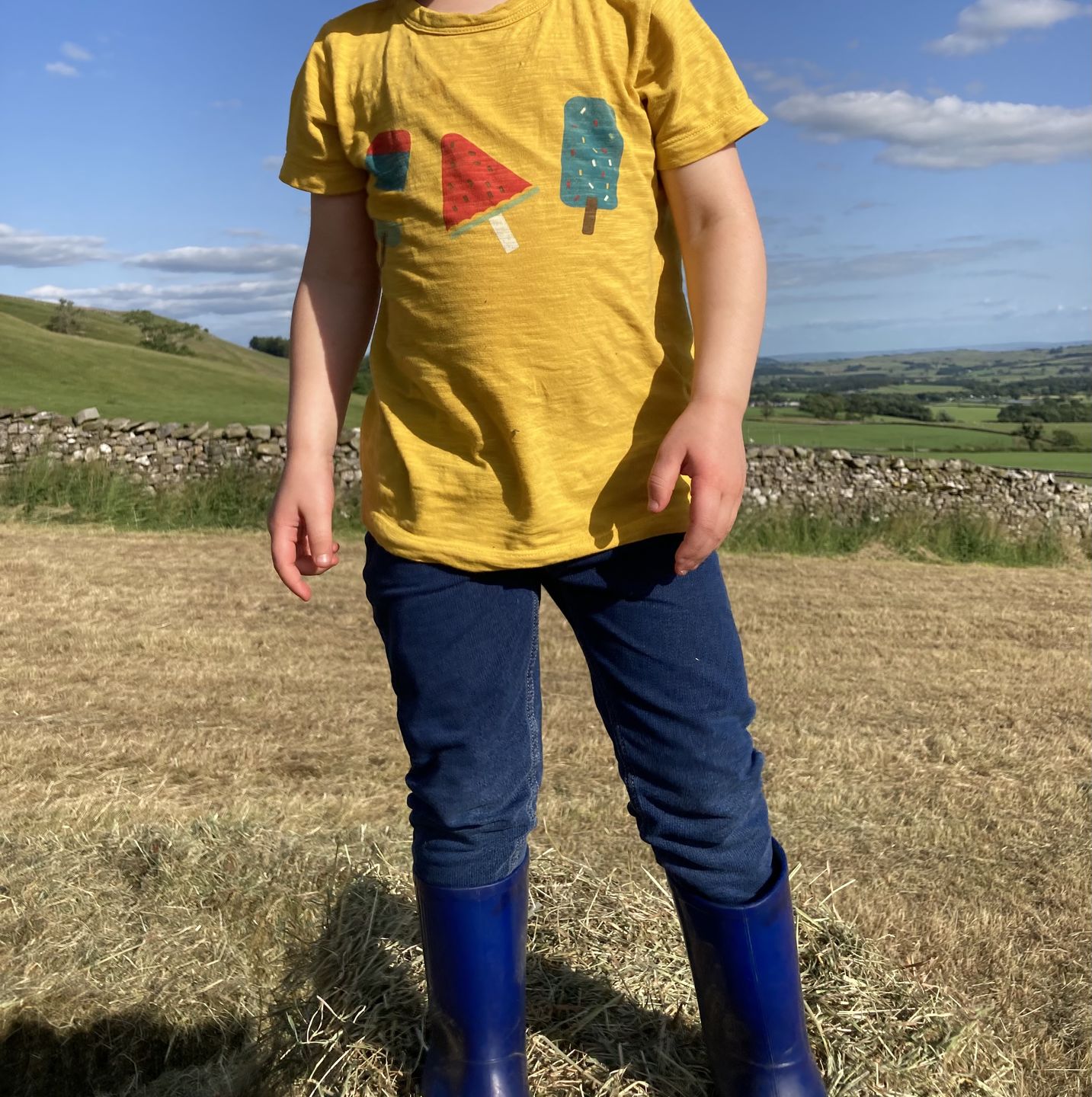 Customer photo review of Summer Days Short Sleeve Henley Top
