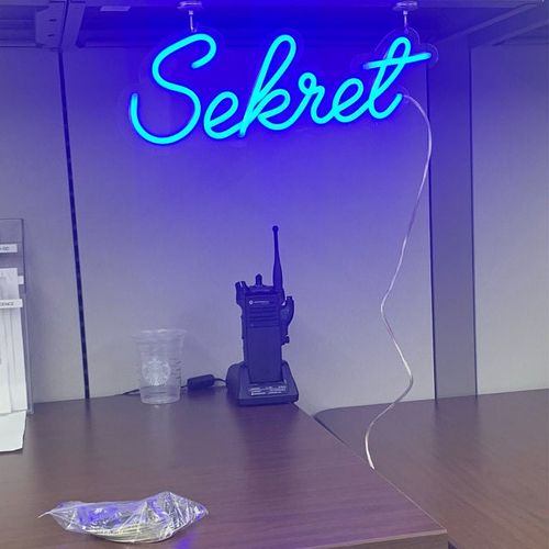 Customer photo review of 'There is a light that never goes out' neon sign