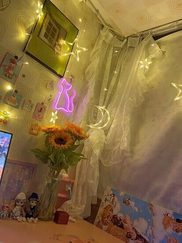 Customer photo review of Female Back Silhouette Neon Sign